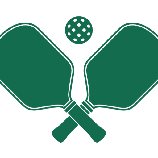 Pickleball paddles with pickleball ball